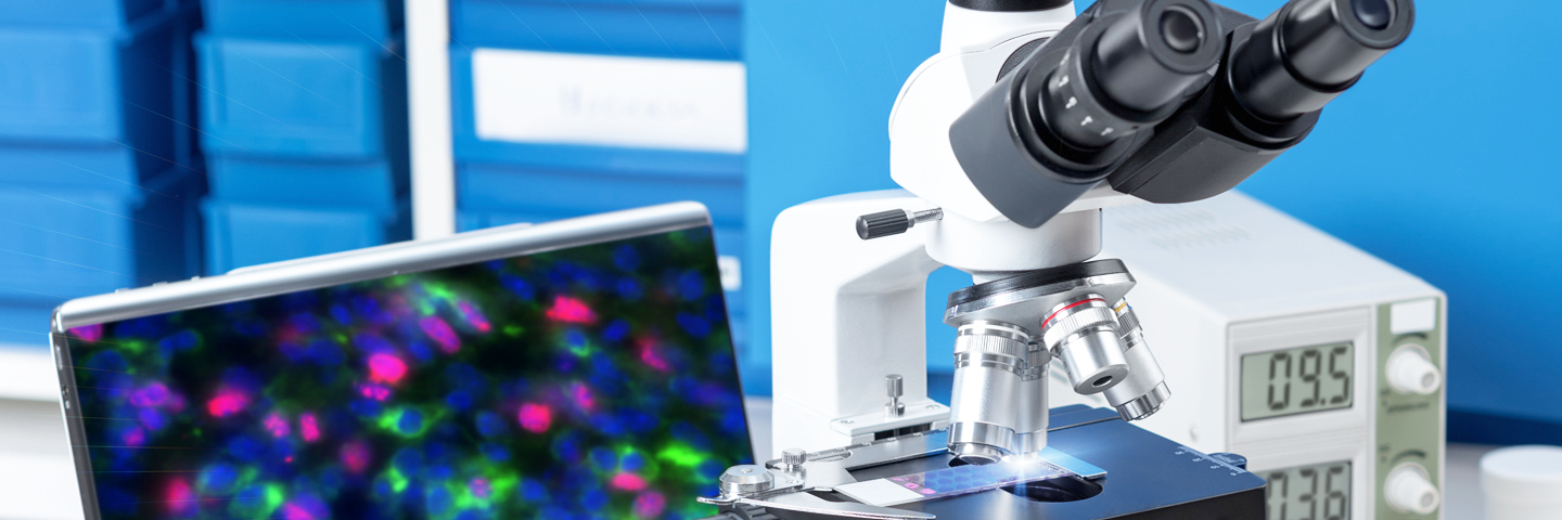 Microscopy Microscopy