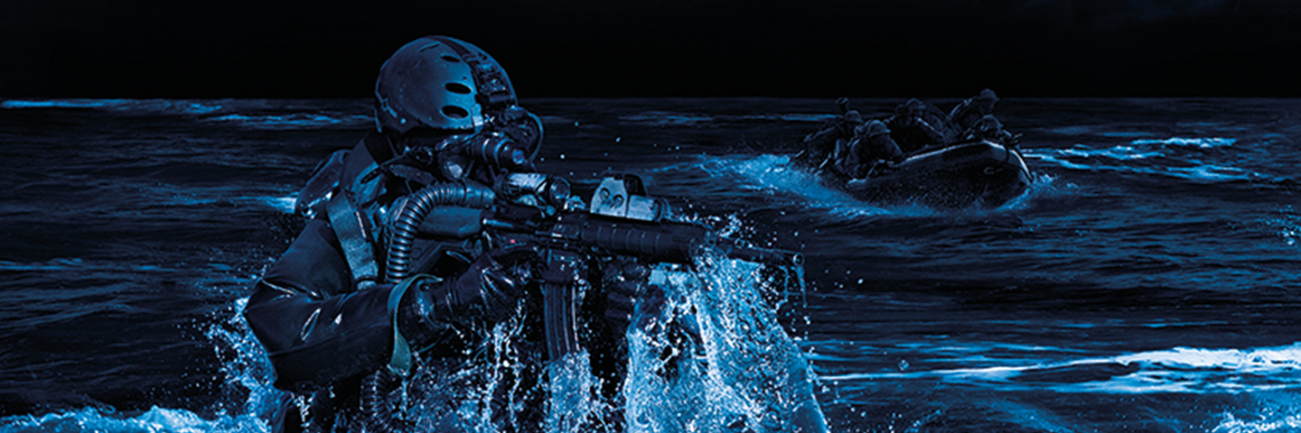 DSEI Japan DSEI Japan