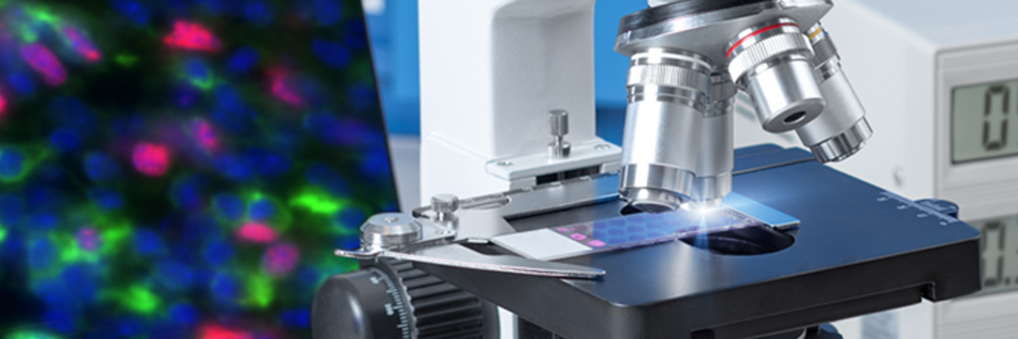 Photonis Scientific Detectors Photonis Scientific Detectors