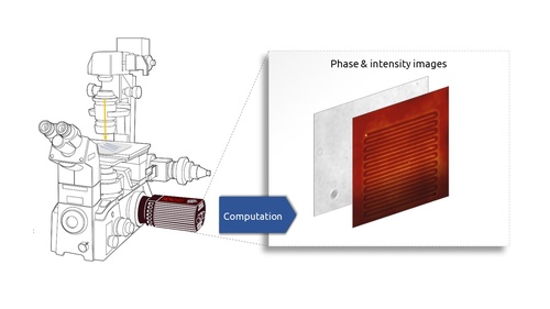 Implementation on any optical microscope