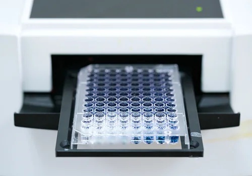 Pharmacology: drug discovery and testing