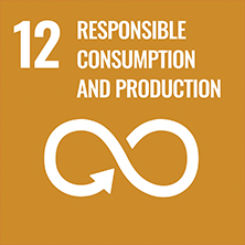 sustainable consumption and production