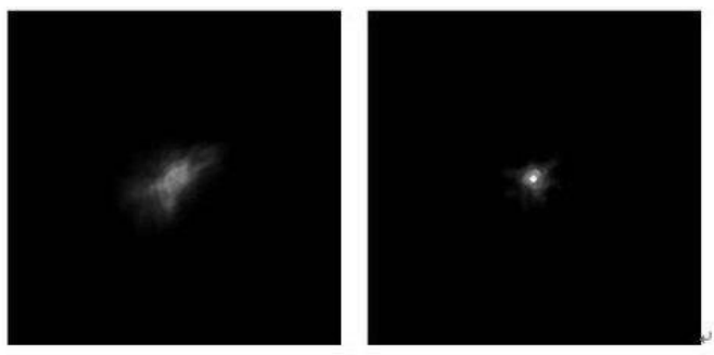  Observation in H-band (1500 nm) of star Fomalhaut with Cougar SWIR camera as scientific imaging camera