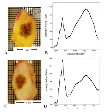 Photographs and Raman spectra obtained with the experimental setup at Erasmus MC