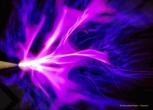 When Plasma Density Is the Experiment: