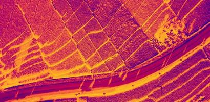 Advanced imaging solutions | Exosens